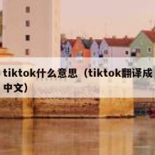 tiktok什么意思（tiktok翻译成中文）