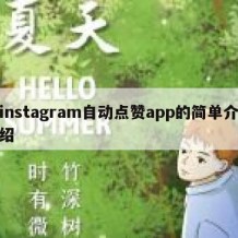 instagram自动点赞app的简单介绍