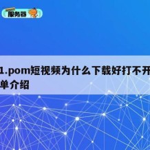 i91.pom短视频为什么下载好打不开的简单介绍
