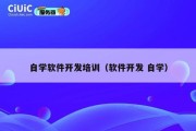自学软件开发培训（软件开发 自学）