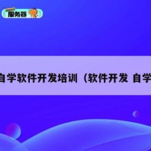 自学软件开发培训（软件开发 自学）