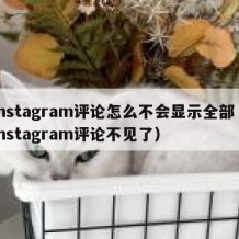 instagram评论怎么不会显示全部（instagram评论不见了）