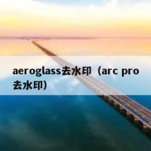 aeroglass去水印（arc pro去水印）