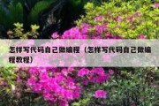 怎样写代码自己做编程（怎样写代码自己做编程教程）
