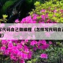 怎样写代码自己做编程（怎样写代码自己做编程教程）