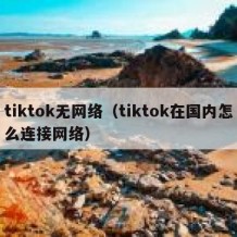 tiktok无网络（tiktok在国内怎么连接网络）