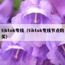 tiktok专线（tiktok专线节点购买）