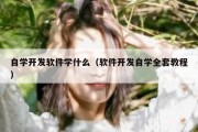 自学开发软件学什么（软件开发自学全套教程）