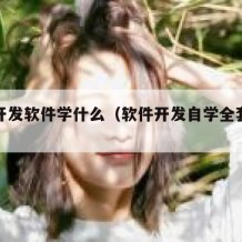 自学开发软件学什么（软件开发自学全套教程）