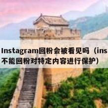 Instagram回粉会被看见吗（ins不能回粉对特定内容进行保护）