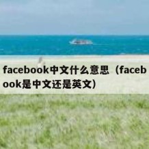 facebook中文什么意思（facebook是中文还是英文）