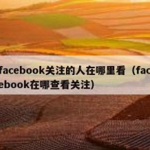 facebook关注的人在哪里看（facebook在哪查看关注）