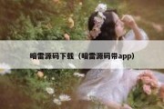 暗雷源码下载（暗雷源码带app）