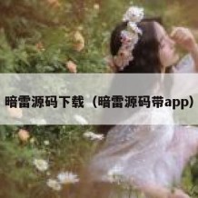 暗雷源码下载（暗雷源码带app）