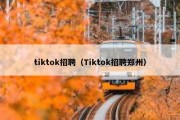 tiktok招聘（Tiktok招聘郑州）