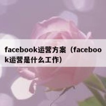 facebook运营方案（facebook运营是什么工作）