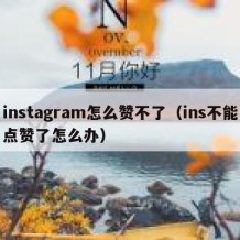 instagram怎么赞不了（ins不能点赞了怎么办）