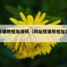 网站搭建教程加源码（网站搭建教程加源码是什么）
