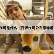 开源代码是什么（开源代码公布意味着什么）