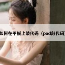 如何在平板上敲代码（pad敲代码）