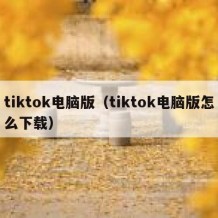 tiktok电脑版（tiktok电脑版怎么下载）