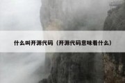 什么叫开源代码（开源代码意味着什么）