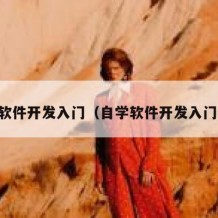自学软件开发入门（自学软件开发入门书籍）