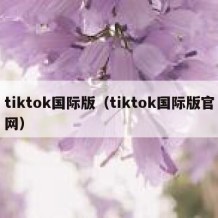 tiktok国际版（tiktok国际版官网）