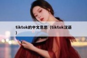 tiktok的中文意思（tiktok汉语）