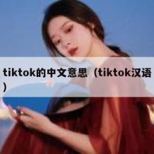 tiktok的中文意思（tiktok汉语）