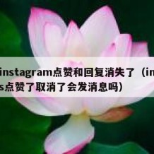 instagram点赞和回复消失了（ins点赞了取消了会发消息吗）