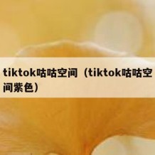 tiktok咕咕空间（tiktok咕咕空间紫色）