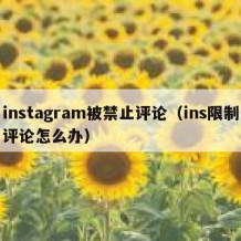 instagram被禁止评论（ins限制评论怎么办）