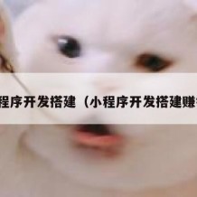 小程序开发搭建（小程序开发搭建赚钱）