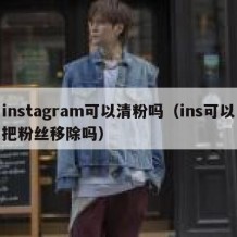 instagram可以清粉吗（ins可以把粉丝移除吗）