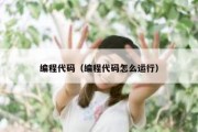 编程代码（编程代码怎么运行）