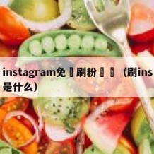 instagram免賛刷粉緒頁（刷ins是什么）