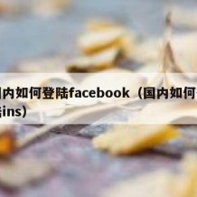 国内如何登陆facebook（国内如何登陆ins）