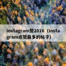 instagram赞2016（Instagram点赞最多的帖子）