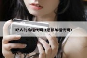 吓人的编程代码（恶搞编程代码）