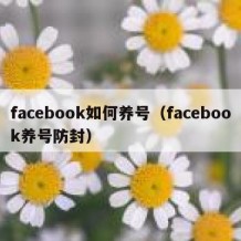 facebook如何养号（facebook养号防封）