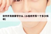 软件开发需要学什么（小程序开发一个多少钱啊）