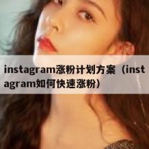 instagram涨粉计划方案（instagram如何快速涨粉）