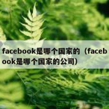 facebook是哪个国家的（facebook是哪个国家的公司）