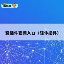 轻插件官网入口（轻体插件）