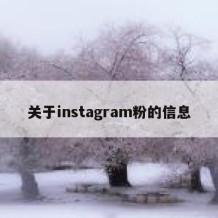 关于instagram粉的信息