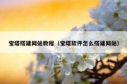 宝塔搭建网站教程（宝塔软件怎么搭建网站）
