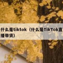 什么是tiktok（什么是TikTok直播带货）