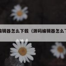 源码编辑器怎么下载（源码编辑器怎么下载素材）