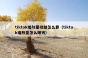 tiktok播放量收益怎么算（tiktok播放量怎么赚钱）